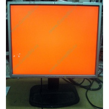 Монитор 19" TFT HP 1955 (DVI в Йошкар-Оле, USB-хаб) "квадратный" (Йошкар-Ола)