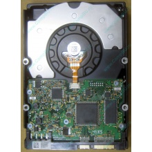 HDD Sun 500G 500Gb в Йошкар-Оле, FRU 540-7889-01 в Йошкар-Оле, BASE 390-0383-04 в Йошкар-Оле, AssyID 0069FMT-1010 в Йошкар-Оле, HUA7250SBSUN500G (Йошкар-Ола)
