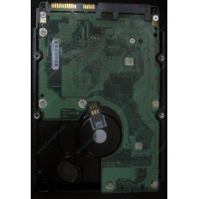 HP 454228-001 146Gb 15k SAS HDD (Йошкар-Ола)