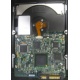 Электроника жёсткого диска 146Gb HP 481653-002 DF146BAFDU (Йошкар-Ола)
