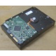 Жесткий диск HP 250Gb 7200 rpm 432337-001/ 399699-001 / 397377-004 (Йошкар-Ола)