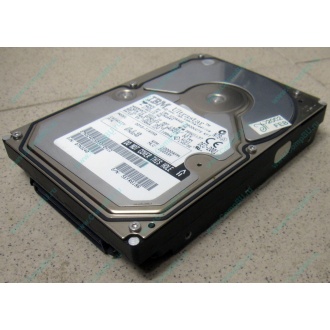 Жесткий диск 18.2Gb IBM Ultrastar DDYS-T18350 Ultra3 SCSI (Йошкар-Ола)
