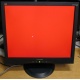 Монитор 19" ViewSonic VA903b (1280x1024) есть битые пиксели (Йошкар-Ола)