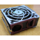 HP 224977 (224978-001) for Proliant ML370 G2/G3/G4 (Йошкар-Ола).