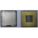 Процессор Intel Celeron D 336 (2.8GHz /256kb /533MHz) SL98W s.775 (Йошкар-Ола)