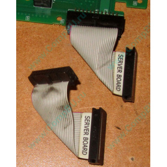 6017B0045701 Шлейф 24 pin для Intel C74974-401 T0043401-B01 корпуса SR2400 (Йошкар-Ола)
