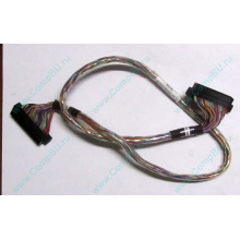 6017B0045301 в Йошкар-Оле, 68pin SCSI кабель 26.5" / 57cm для корзины HDD Intel SR2400 (Йошкар-Ола)