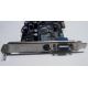NV18-3710D 64Mb nVidia GeForce4 MX440 AGP 8x (Йошкар-Ола)