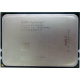 AMD Opteron 6128 OS6128WKT8EGO (Йошкар-Ола)