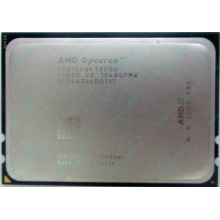 AMD Opteron 6128 OS6128WKT8EGO (Йошкар-Ола)