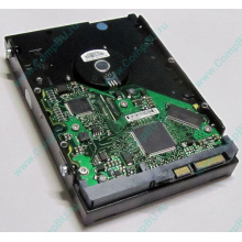 Жесткий диск 80Gb HP 5188-1894 9W2812-630 345713-005 Seagate ST380013AS SATA (Йошкар-Ола)