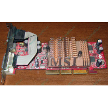 Видеокарта MSI TD128LF 8998 128Mb nVidia GeForce FX5500 AGP (Йошкар-Ола)