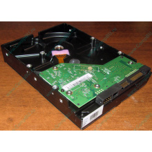 Жесткий диск 500Gb WD WD5000AAKX HP 634605-003 613208-001 7.2k SATA (Йошкар-Ола)