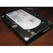 Жесткий диск 300Gb 15k Dell 9CH066-050 6G SAS (Seagate Cheetach ST3300656SS 15K.6) - Йошкар-Ола