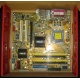 Материнская плата Asus P5L-VM 1394 s.775 (Йошкар-Ола)